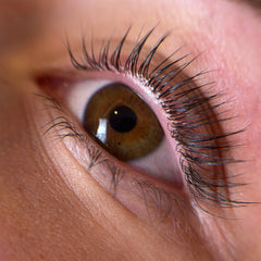 V-shape lash lifting pads